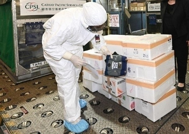 港府至今抽查逾4.9萬日本進口水產樣本　輻射水平暫無發現超標