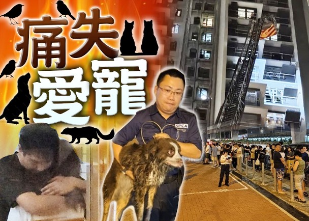 葵翠邨單位起火冒濃煙　多隻寵物死亡逾200人疏散