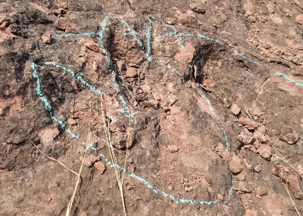 村民發現恐龍腳印　揭逾400枚白堊紀早期足迹