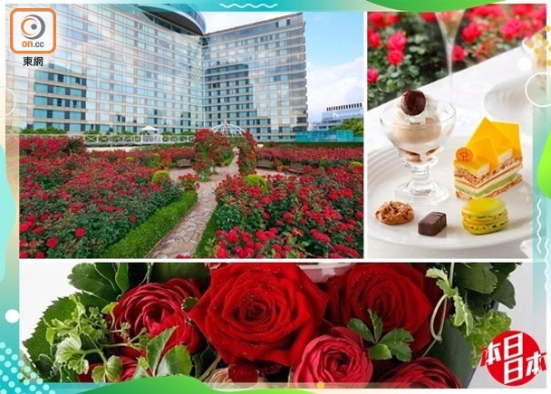 本日日本 去酒店欣賞3萬朵玫瑰 即時新聞 繽fun星網 On Cc東網