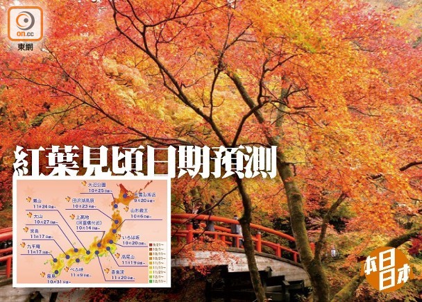 本日日本 紅葉最前線出爐北海道9月日見頃啦 即時新聞 生活 On Cc東網