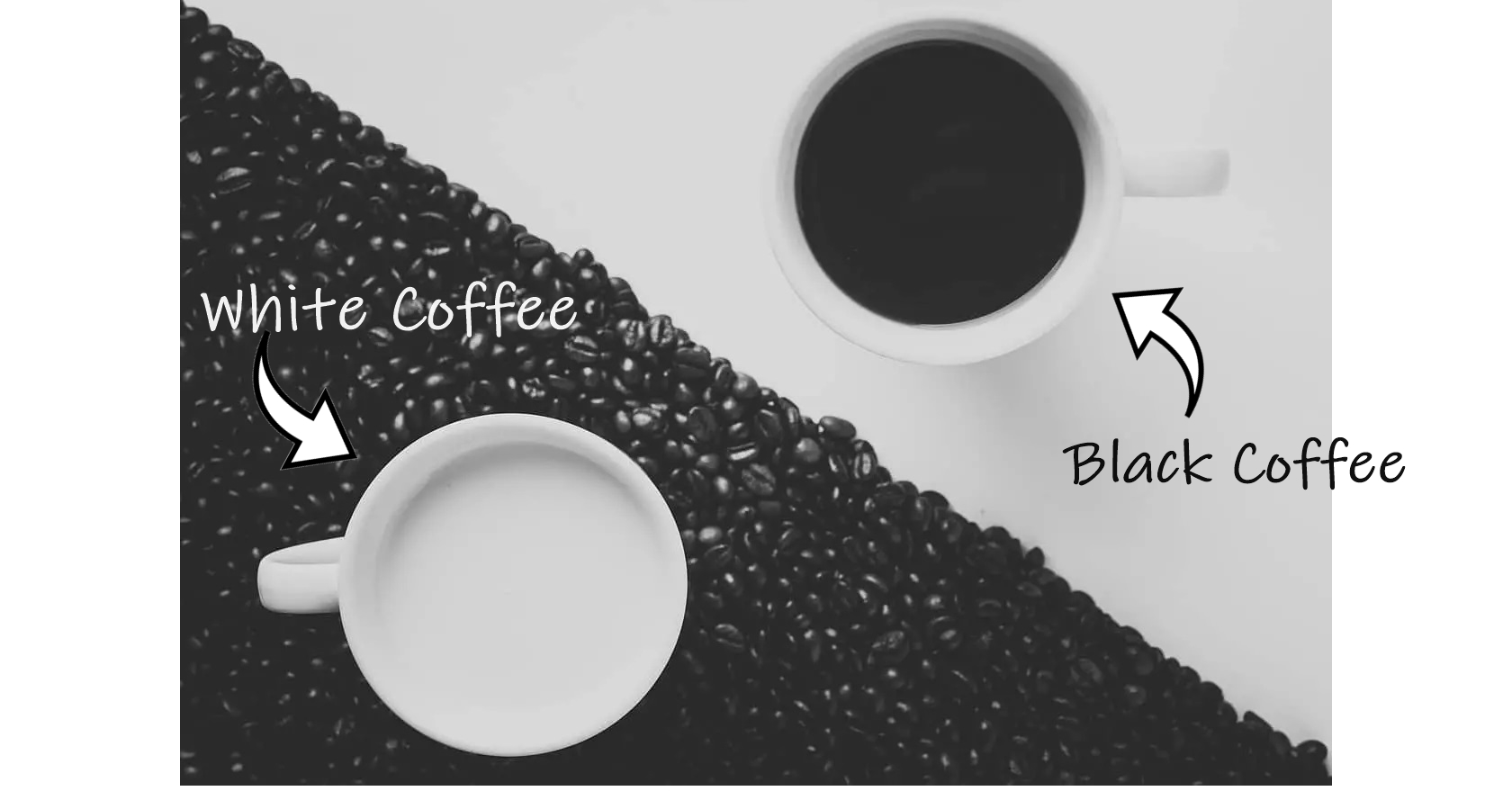经常喝咖啡的危害（经常喝咖啡对身体有什么影响） – 碳资讯