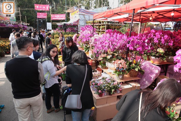 花墟年宵未見人潮逢暖冬年花早開要減價 即時新聞 港澳 On Cc東網