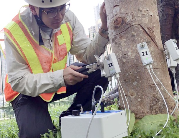 8000棵樹裝傳感器　有倒塌風險即發提示 Bkn-20190616113856439-0616_00822_001_01p