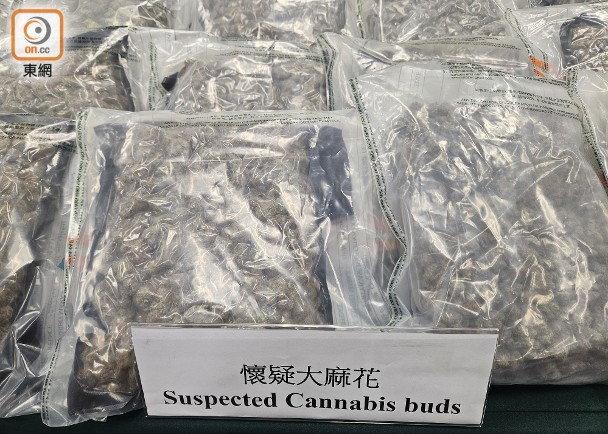 破兩毒案檢值470萬大麻花　兩泰國抵港男女機場被捕