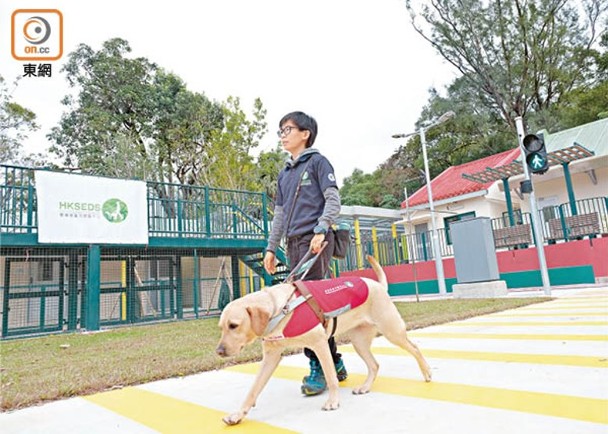 平機會去年接7宗投訴　推《導盲犬指南》促保障使用者權利