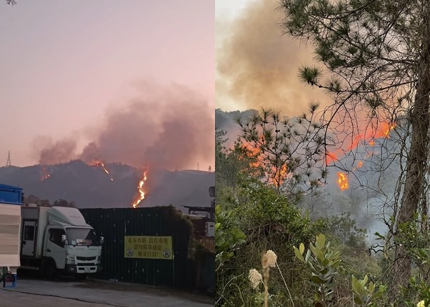 元朗大棠山火　火線綿延一度逼近民居