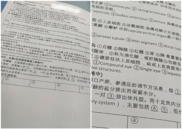 台大學試卷印簡體字　副教授名片現「中國台灣」字樣