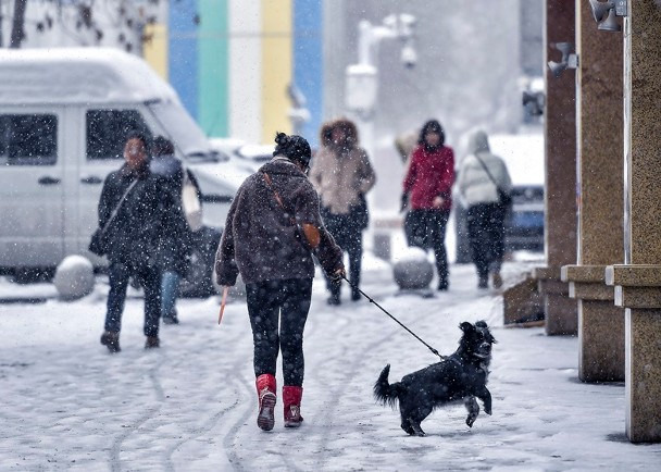 冷空氣影響新疆等地降雪　台灣低溫下探6℃