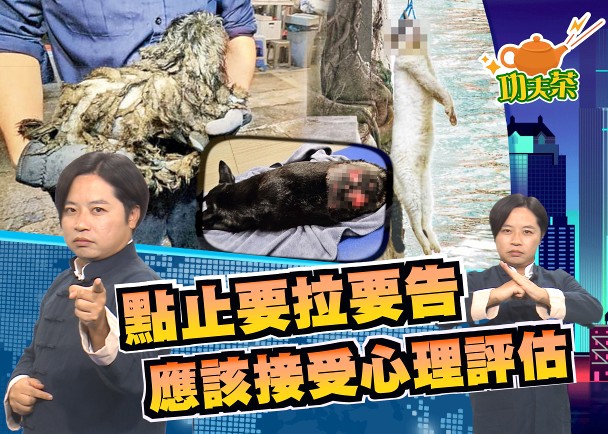 虐待動物豈能輕視　港官修例一味拖延