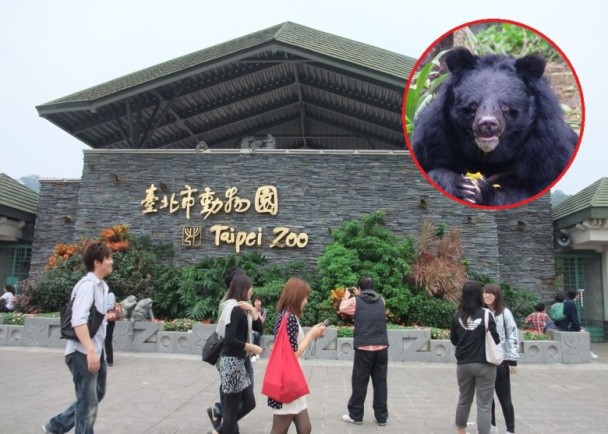 台北動物園驚傳黑熊襲人飼育員被抓傷送院 即時新聞 台灣 On Cc東網