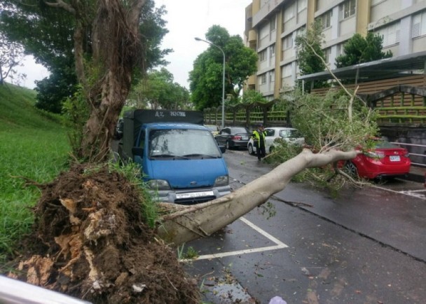 台北三層樓高大樹被吹倒橫跨馬路壓毀車 即時新聞 台灣 On Cc東網